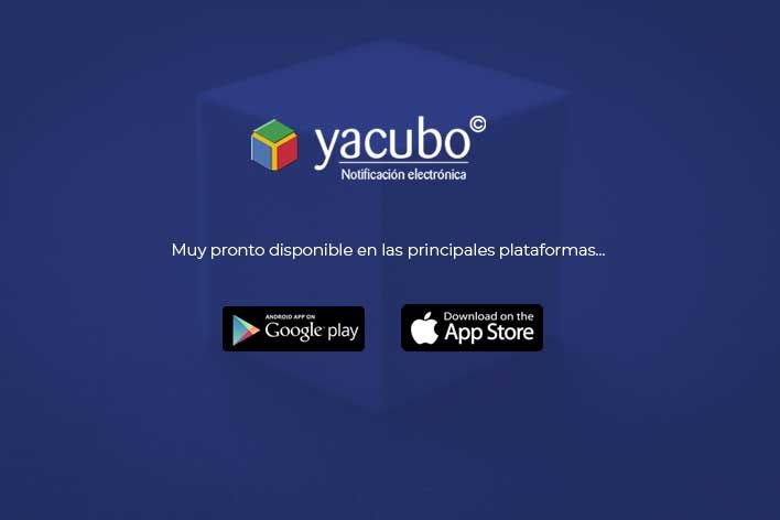 yacubo-app-comunicacion-dario-y-delfin