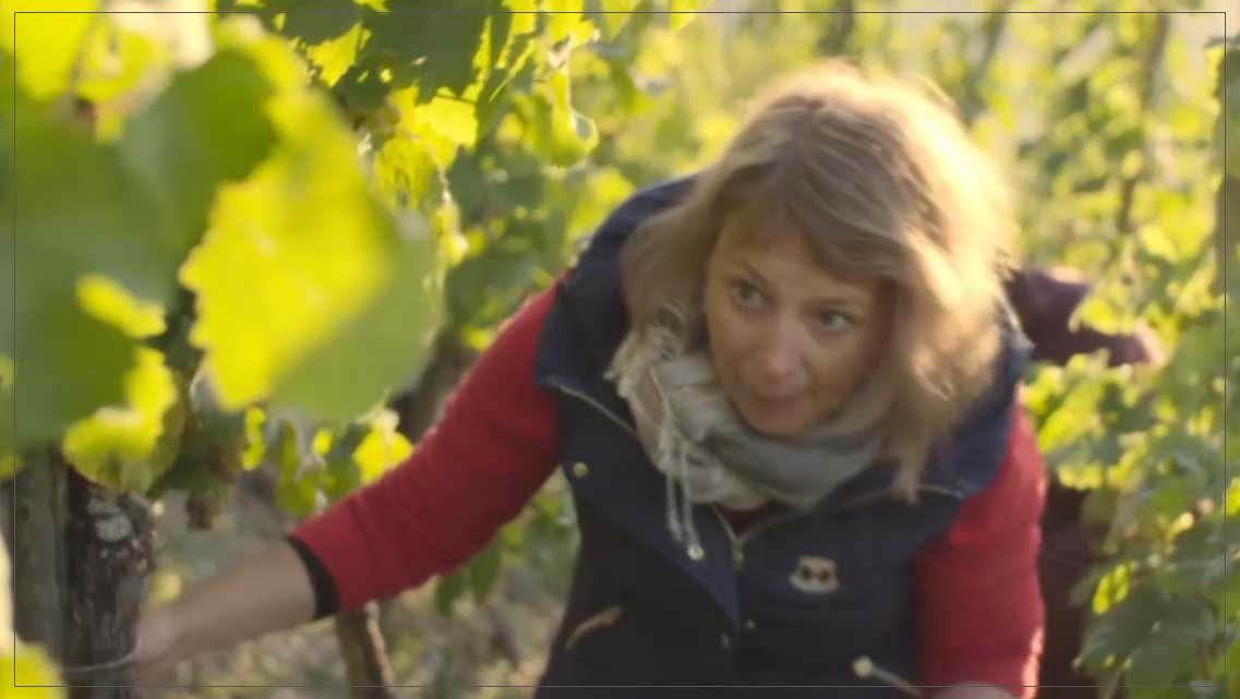 vinos-migratorios-cuando-la-uva-riesling-se-dirige-al-norte