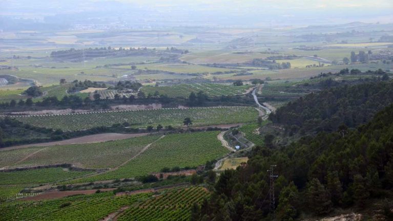 juan-marcos-sumiller-atardecer-de-otono-en-la-rioja-alta