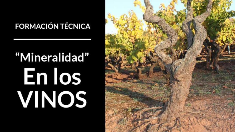 curso-de-formacion-tecnica-mineralidad-en-los-vinos