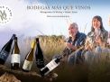 DESCUBRE LA VITICULTURA EN EQUILIBRIO DE LA MESETA TOLEDANA CON BODEGAS MÁS QUE VINOS