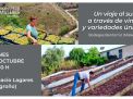 UN VIAJE AL SUR A TRAVÉS DE VINOS Y VARIEDADES ÚNICAS